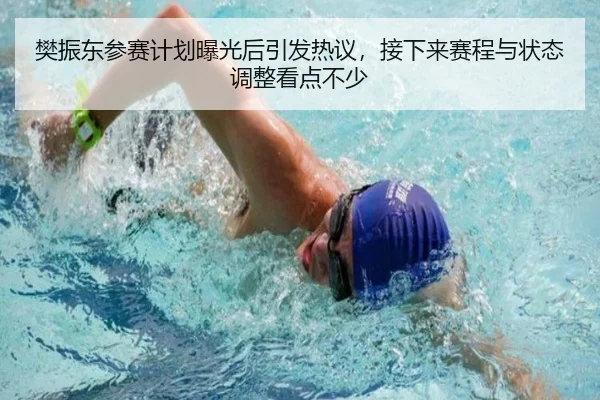 樊振东参赛计划曝光后引发热议，接下来赛程与状态调整看点不少（pazhenren）